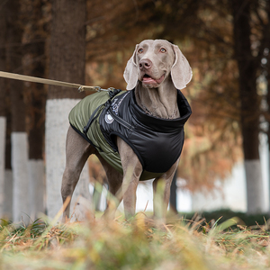 Ropa para Perros al por Mayor, Chaqueta de Invierno para Perros Grandes con Arnés, Personalizable con Logotipo, Resistente al Viento, de Poliéster - Product Image 2