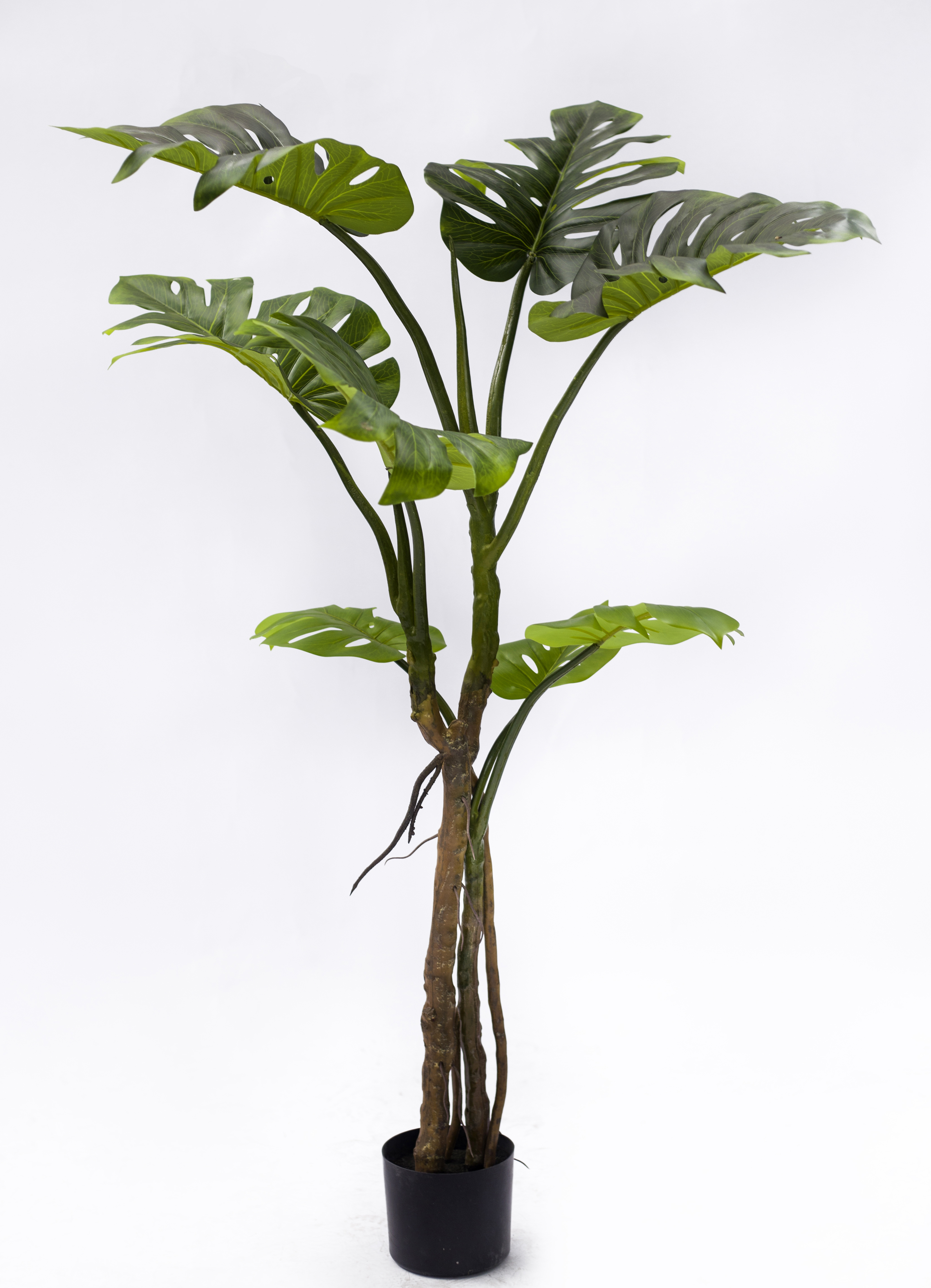 Vert 180cm