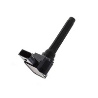 High Quality Ignition Coils for Audi Car Engines OEM 079905110P