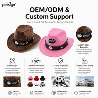 Petit chapeau de soleil d'hiver pour chiens, style cowboy western, accessoire de fête pour Halloween et le Festival des Fantômes, mini accessoire vestimentaire pour animaux de compagnie pour le Mexique