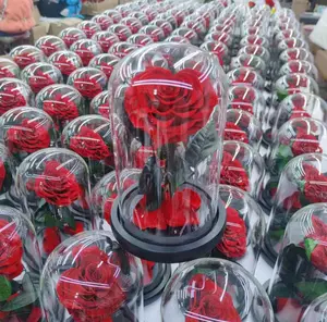 Распродажа, оптовая цена, двухцветная натуральная Сохраненная Роза 9-10 см в стекле с деревянной основой Forever Dome Rainbow