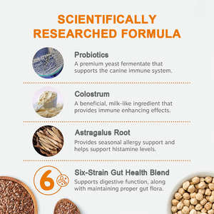 OEM supporto per la salute dell'intestino mastica morbida probiotici per animali domestici e potenziatori immunitari Anti-allergia integratori probiotici per una salute ottimale degli animali domestici - Product Image 2