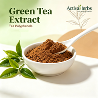ActivaHerbs Extrait de thé vert naturel soluble dans l'eau, 60% 98% de polyphénols de thé