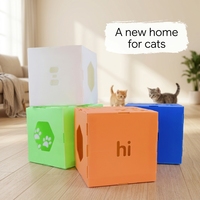 Boîte pliable pour animaux de compagnie en plastique recyclé, empilable, avec impression personnalisable, cage de transport pour animaux