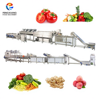 1-3T/H Klantspecifieke fruit- en groentereinigingslijn voor industrieel gebruik: sorteer-, was-, snij-, blancherings- en droogmachine voor groenten, fruit en maïs