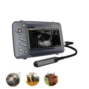 Handheld BMV S6 <span class=keywords><strong>Digital</strong></span> Equine Bovine Ovine Portable <span class=keywords><strong>Digital</strong></span> Veterinary <span class=keywords><strong>Ultrasound</strong></span> System - Product Image 4