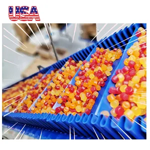 80kg/h Colored fruit gummy Giant strawberry gummy candy production line for candy manufacture