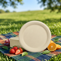 ECO SOUL Assiette jetable moderne en bagasse de 6 pouces (lot de 100, motif uni rond)