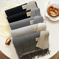 Vente chaude hiver chaud couleur unie Pashmina châles couverture écharpe femmes hommes longue grande Double face cachemire écharpes frange châles