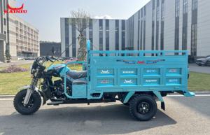 Nouveau modèle 2025 – Meilleur produit de 2025 – Tricycle motorisé à 3 roues KAINIU Gold <span class=keywords><strong>Dragon</strong></span> 200CC – Tricycle de transport robuste - Product Image 3