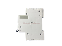 Disjoncteur miniature industriel en plastique A9F19204 d'origine, neuf, 2P 4A courbe D 6kA, basse tension, rail DIN
