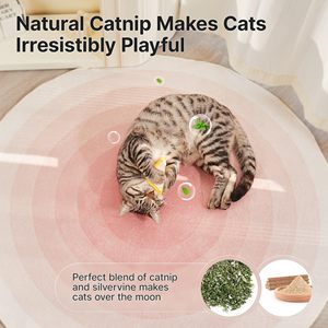 Juguetes interactivos para gatos de 3 piezas con hierba gatera y plataforma de plata, diseño moderno de lufa de dibujos animados para la dentición y limpieza de dientes - Product Image 5