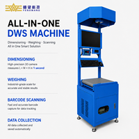 Système de mesure DWS statique, dimensionnement des colis, pesage, lecteur de codes-barres, équipement de convoyage pour centre de distribution