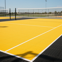 Plaques de surface de pickleball d'extérieur en composite non dégradable pour terrains de sport, choix des développeurs de projets, avec structure robuste