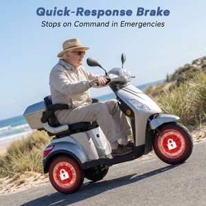 Nuevo <span class=keywords><strong>Scooter</strong></span> <span class=keywords><strong>de</strong></span> <span class=keywords><strong>Movilidad</strong></span> Eléctrico 800W 60V 20Ah Velocidad Máxima 25Km/h Larga Autonomía 55Km - Product Image 5