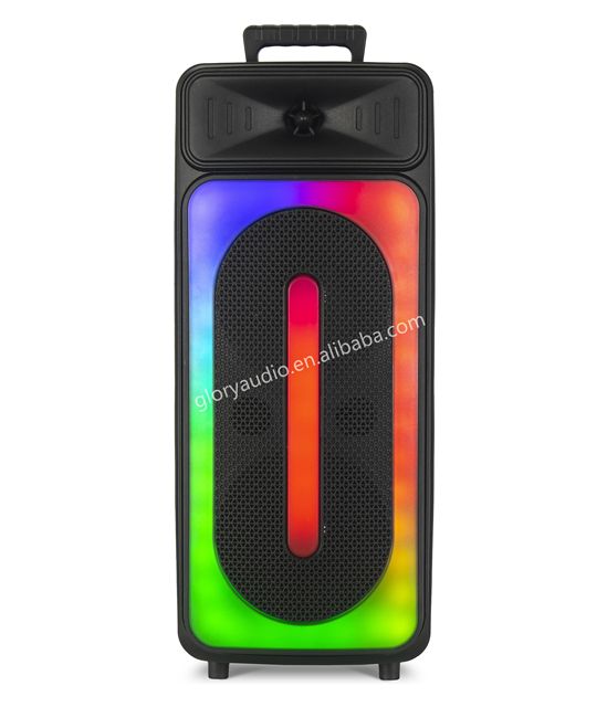 Dj Partybox 310 110 Speaker with Color Light Player
