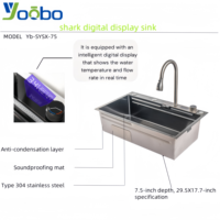 Vente flash : Ensemble d'évier de cuisine en acier inoxydable 304, monobloc, motif grain de riz, avec robinet à affichage numérique