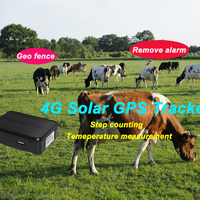 Collier solaire 3G pour bétail, puce de suivi d'animaux 4G, mini traceur GPS 4G, dispositif de suivi pour bovins, moutons, chevaux