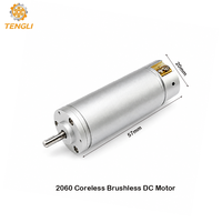 Moteur BLDC sans noyau haute vitesse Tenli 2060 20 mm 24 V 60 W 40 000 tr/min triphasé à faible inertie avec encodeur personnalisé pour application de servomoteur