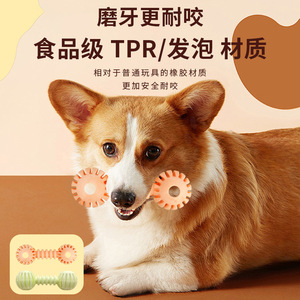 Jouet à mâcher en forme d'haltère en TPR, taille moyenne, pour chien et chat, pour la dentition, utilisation en intérieur, JH-6320 - Product Image 3
