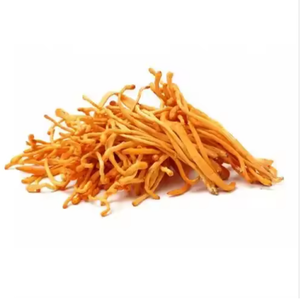 Extracto de Cordyceps Natural en Polvo con 8% de Mannitol, Extracto Orgánico de Cordyceps <span class=keywords><strong>Sinensis</strong></span> - Product Image 3