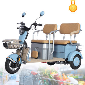 Vente en gros de tricycles électriques pour adultes <span class=keywords><strong>à</strong></span> 3 roues de 600W pour passagers et marchandises pousse-pousse automatique <span class=keywords><strong>à</strong></span> trois roues avec cabine - Product Image 2