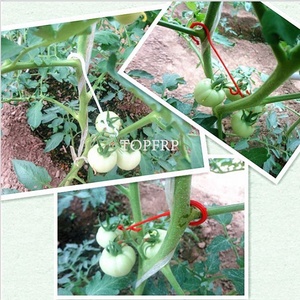 High Quality Garden Tomato Plastic <b>Plant</b> <b>Hook</b> - Product Image 5