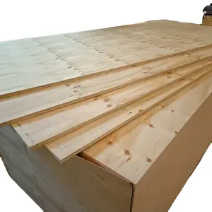 Betulla Bintangor Okoume pioppo Oak Furniture Commercial Plywoods Pine CDX Marine Construction fogli di compensato