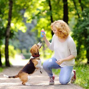 Juguetes de <span class=keywords><strong>Peluche</strong></span> para Perros y Gatos, Resistentes, con Sonido, para Masticar y Desarrollar Habilidades - Venta al Por Mayor - Product Image 2