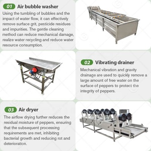Comercial Gg Hot Chili Ground Bell Pepper Maker Procesamiento de salsa picante Máquina de línea de producción para Into - Product Image 3