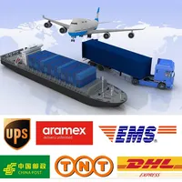 Ddp Verzending Bedrijf Amazon Fba Expediteur China Naar Japan/Usa/Uk/Au/Canada