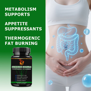 Cápsulas Adelgazantes al por Mayor de Fábrica con Mezcla de Energía y Concentración, Suplementos de Termogénesis que Apoyan un Apetito Saludable - Product Image 4
