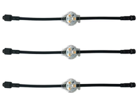 Lampes à points LED RGBW 12V/24V 3 LED 30mm UCS2904, éclairage de piste permanent, extérieur, étanche IP68, lumières de Noël pour usage domestique