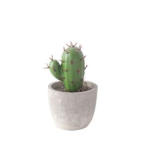 Spedizione gratuita Bonsai simulazione succulenta artificiale Mini <span class=keywords><strong>vaso</strong></span> <span class=keywords><strong>piante</strong></span> carnose finto <span class=keywords><strong>Cactus</strong></span> <span class=keywords><strong>piante</strong></span> grasse decorazione per la casa Hotel - Product Image 1