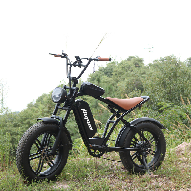 48V Battery Electric Mountain Bike Wholesale 20" Fat Tyre Electric Bike