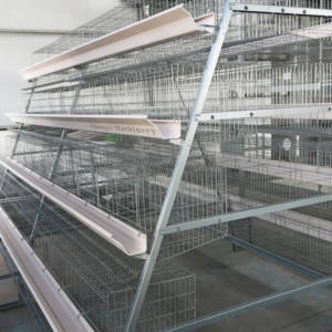 Nouvelle cage à batterie en acier alliage zinc-aluminium-magnésium de marque CHUANGYI, longue durée de vie, pour l'élevage avicole, en forme de A, pour poules pondeuses - Product Image 3