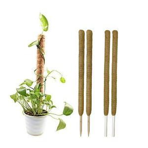 Poteau de soutien pour plantes en fibre de coco 100% naturelle, écologique, rétient l'humidité, pour fleurs et plantes vertes - Product Image 3