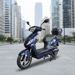 Scooter Eléctrico Ecológico Más Vendido, Bicicleta de 2 Ruedas y 1000w para Adultos con Asiento - Product Image 1