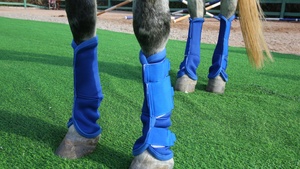 马靴马具马靴马 - Product Image 4