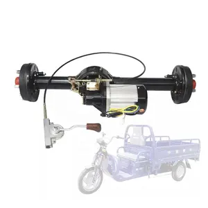 48V 60v3000W Borstelloze Differentieel Motor Trommelrem Elektrische Golfkar Transaxle Trike Achteras Differentieel