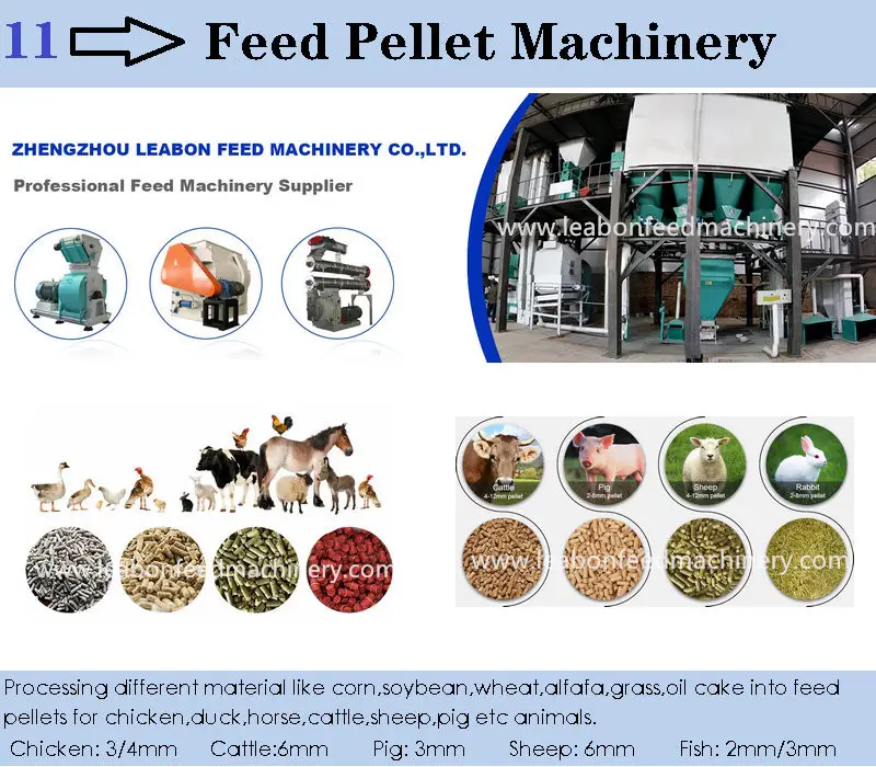 CE 3000kg/h Poultry Feed Pellet Production Line Chicken Feed Pellet Making Machinery Animal Feed Processing Machine