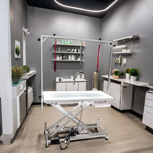 स्टेनलेस स्टील चमकदार इलेक्ट्रिक सौंदर्य टेबल पालतू सौंदर्य टेबल पालतू सौंदर्य उत्पाद बिजली उठाने वाले उत्पाद इलेक्ट्रिक उठाने के लिए - Product Image 1