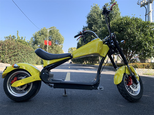 Motocicleta/Bicicleta Eléctrica de 2000w, Almacén en Holanda - Product Image 2