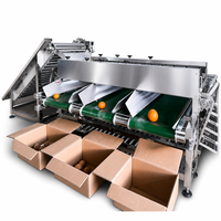 Machine de tri automatique des fruits et légumes pour la calibrage des produits agricoles, convoyeur et ligne de traitement sur mesure