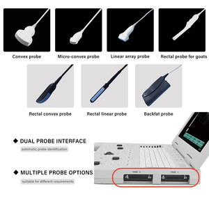 <span class=keywords><strong>Precio</strong></span> de ultrasonido portátil, máquina de ultrasonido, instrumento veterinario, ultrasonido equino <span class=keywords><strong>para</strong></span> animales/ganado, vaca, caballo, Cabra, uso - Product Image 6