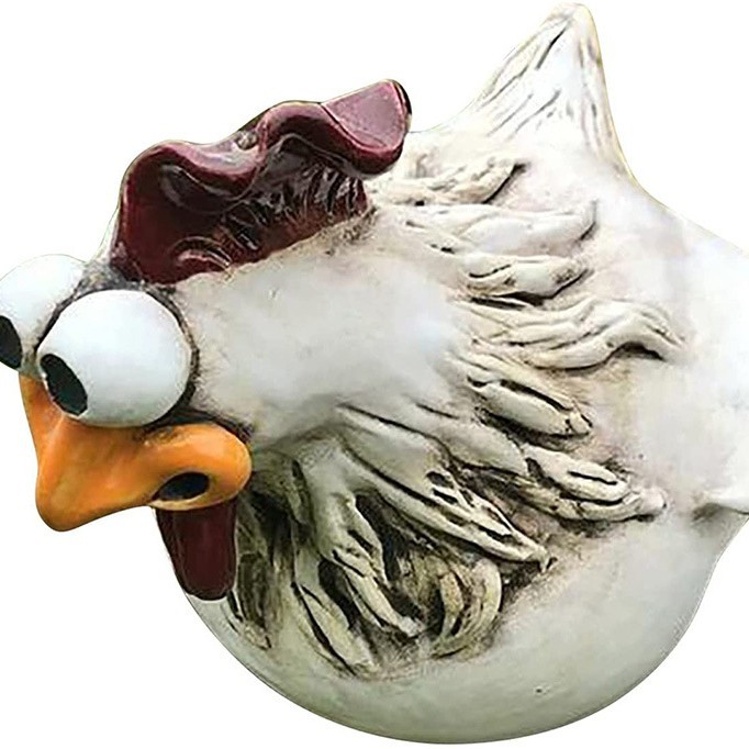 Chicken b