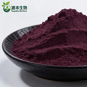 Organic Natural Pigment Black <strong>Carrot</strong> Powder Concentrate Root <strong>Extract</strong> - Product Image 2