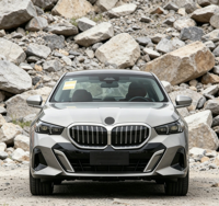 Vehículos Usados Baratos en Stock, BMW Serie 5 Bien Inspeccionados, Configuración Completa, Sedán de Segunda Mano