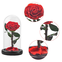 Cadeaux pour la fête des mères Fleurs de roses éternelles naturelles faites à la main Roses préservées éternelles dans un dôme en verre pour maman, femme et petite amie