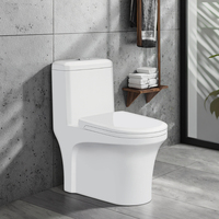 Intégration Une cuvette de toilette à couplage étroit peu encombrant pour petite salle de bain articles sanitaires